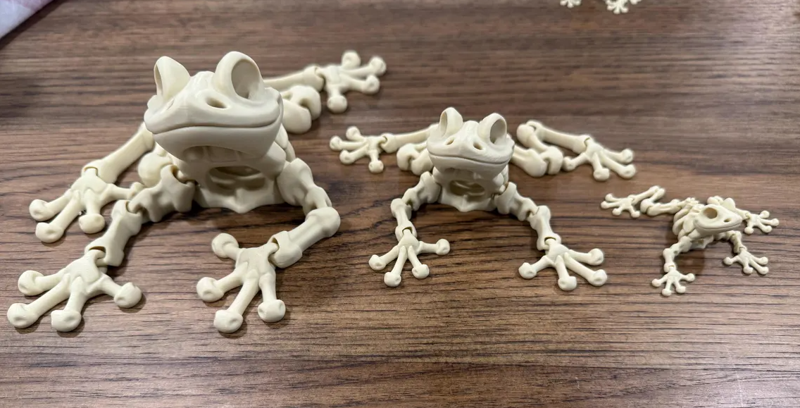 Articulating Frog Skeleton | Super Flexible and Fun