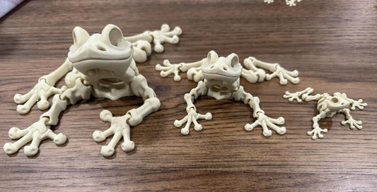 Articulating Frog Skeleton | Super Flexible and Fun