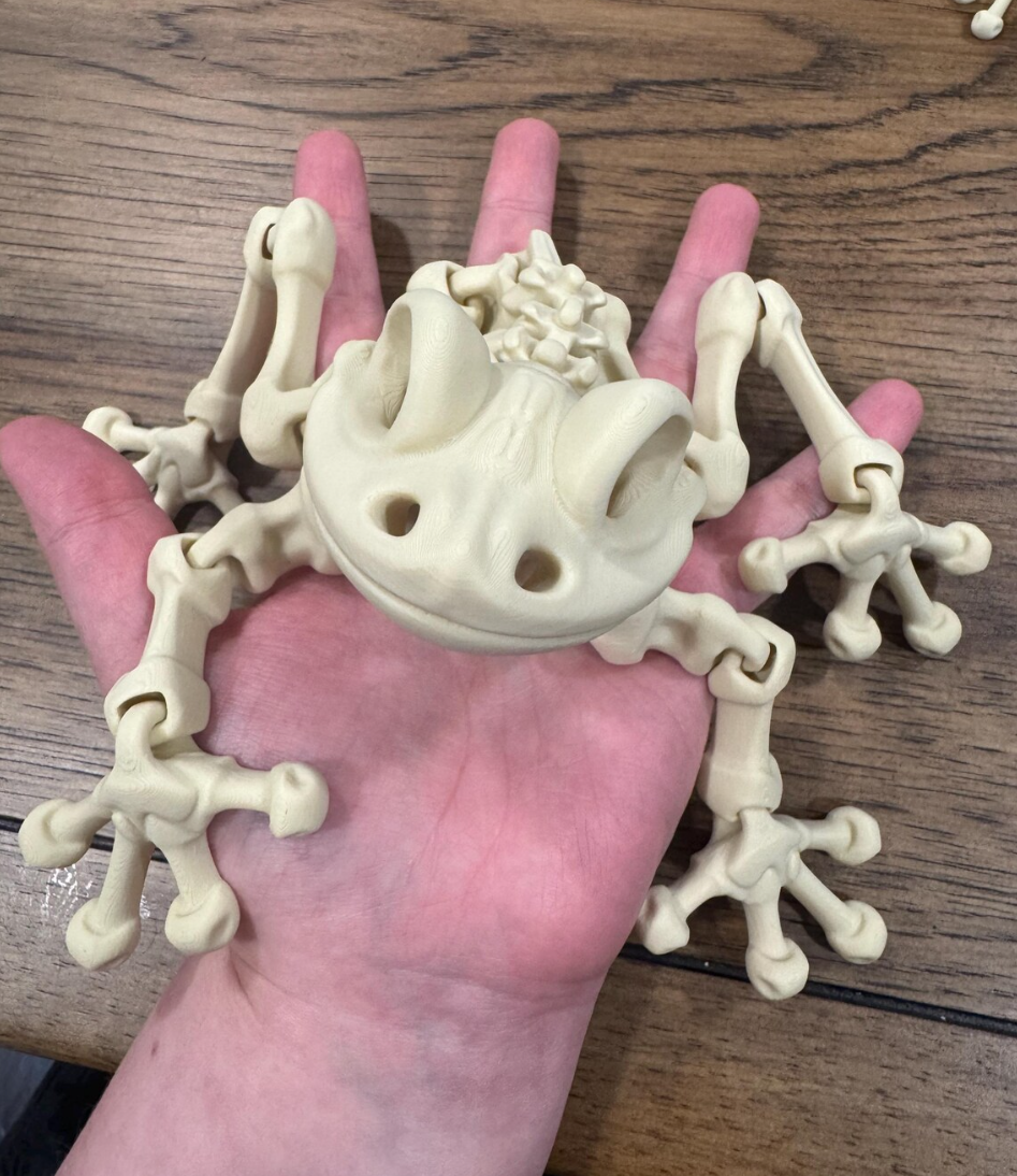 Articulating Frog Skeleton | Super Flexible and Fun